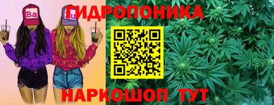 2c-b Кинель