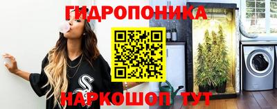 эйфоретик Кингисепп