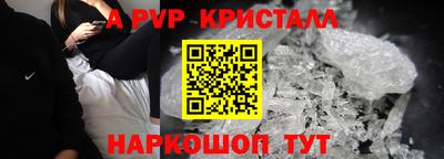 эйфоретик Кингисепп